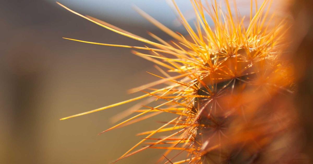 Belajar Crypto Pemula: Panduan Investasi, Wallet, dan Risiko