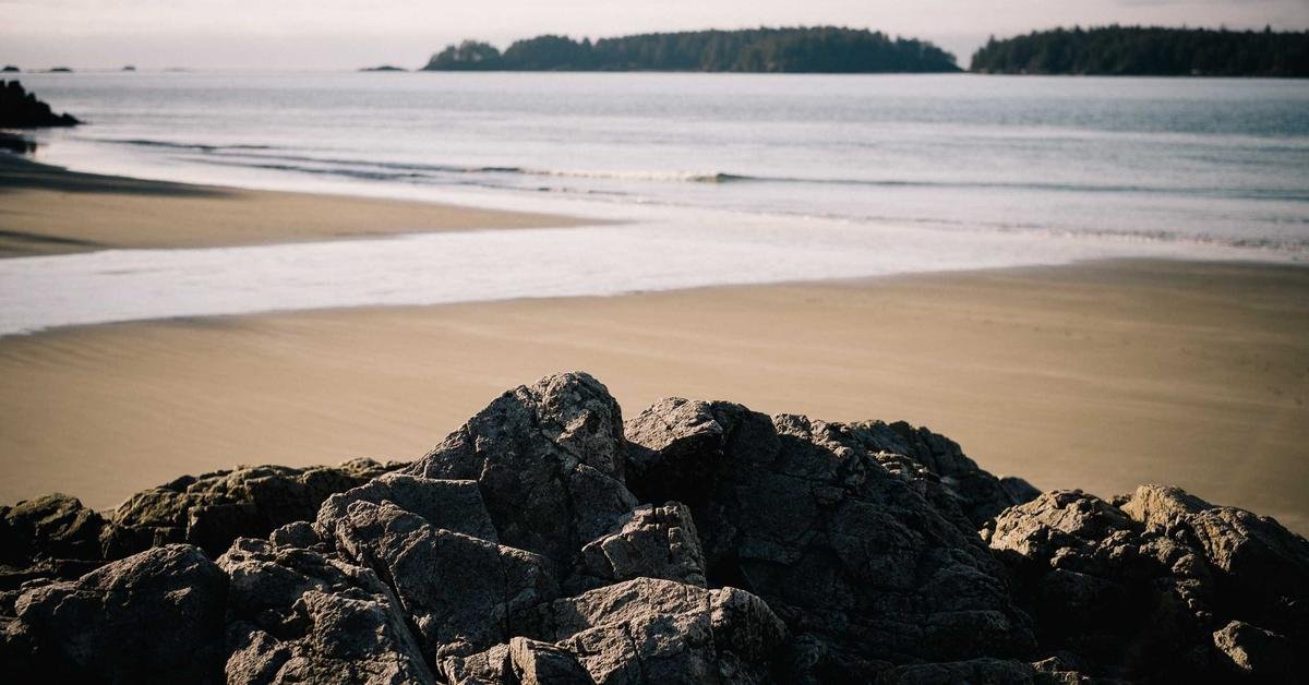 OpenSea vs Blur: NFT Marketplace di Web2 dan Web3